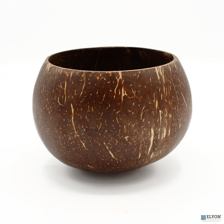 Large Handmade Natural Coconut Shell Cup Set