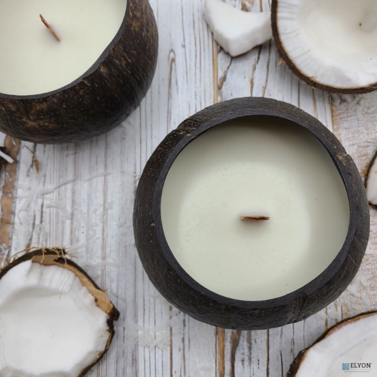 Coconut Shell Candle Scented Set of 2