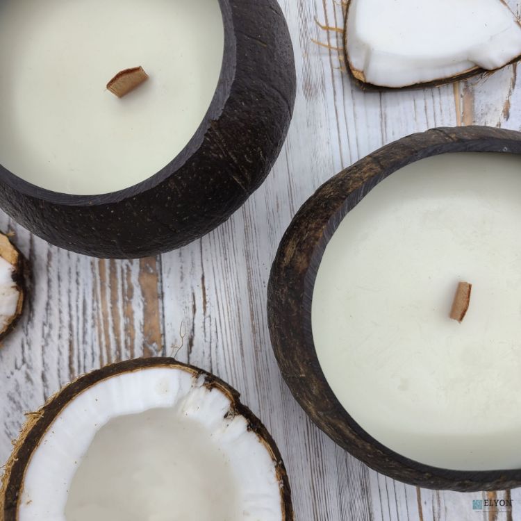 Picture of Coconut Bowl Candle Set 2 Scented Candles 50 Hour Burn Time Vanilla Scent